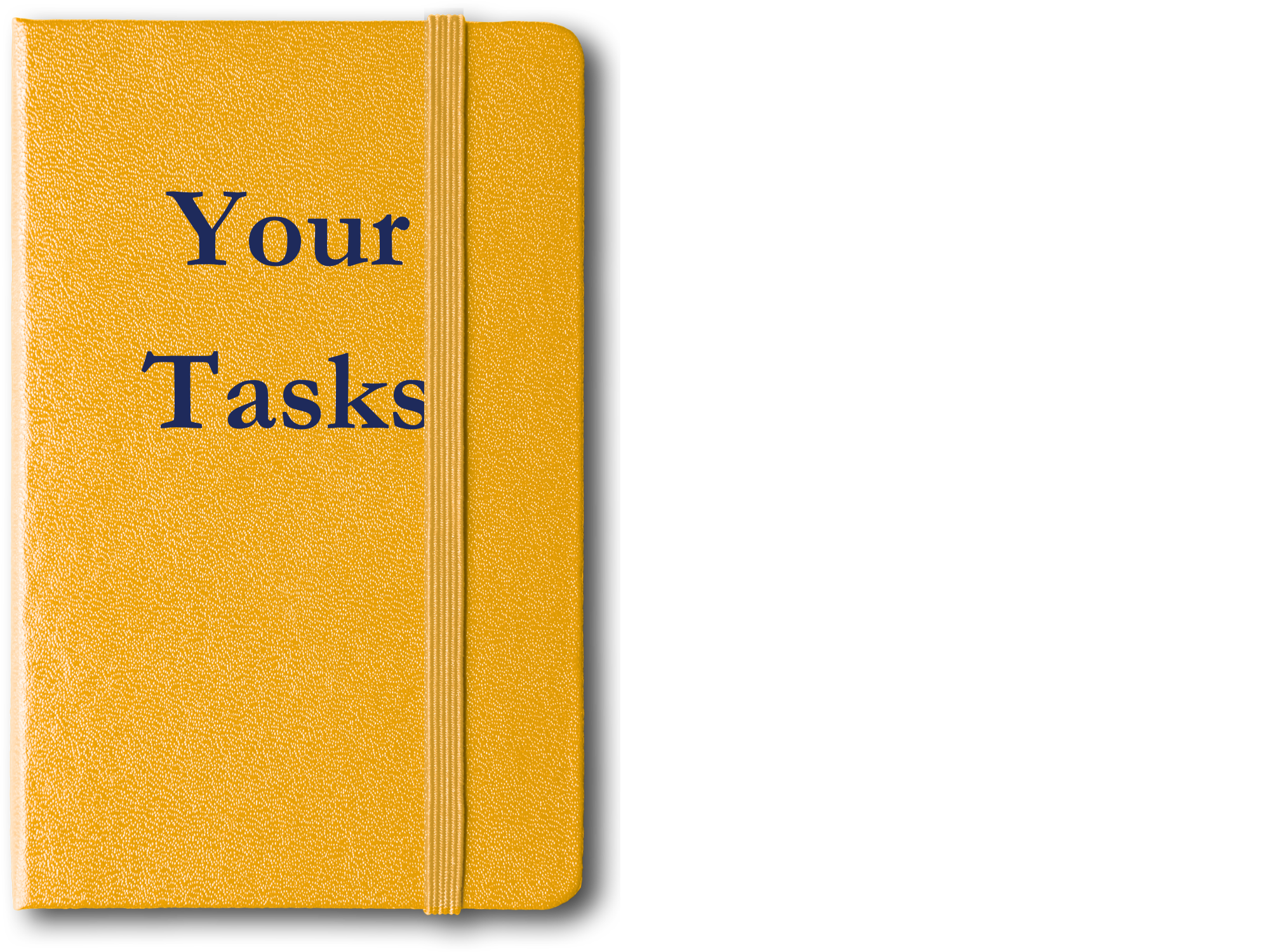 My Tasks
